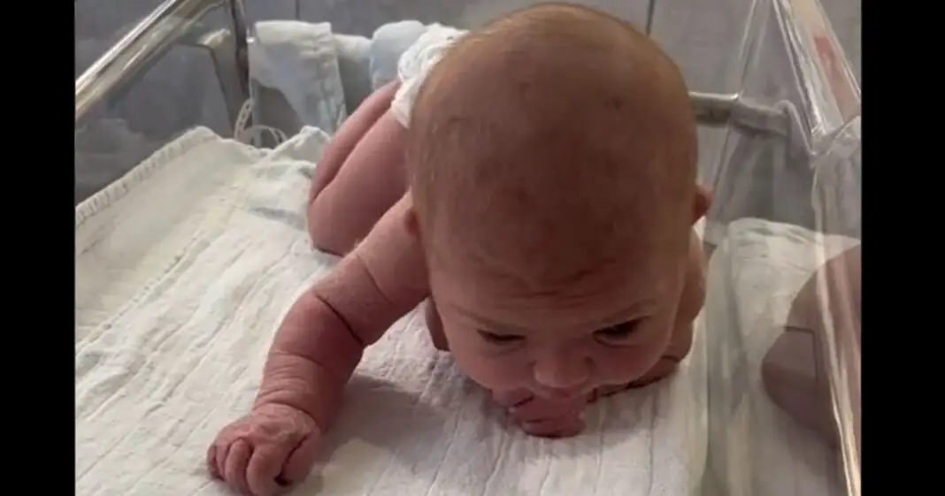 Un nouveau-né de 3 jours se met à ramper et fait le buzz-min
