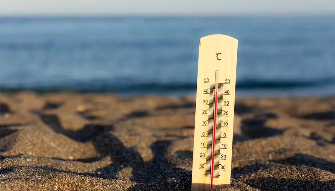 canicule-min