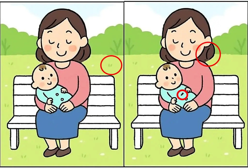 les 3 differences 2-min