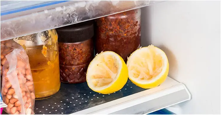 070518-citron-frigo-min