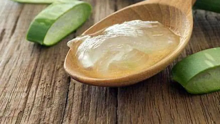 aloevera-min 