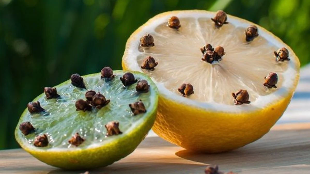 citron-clou de girofle