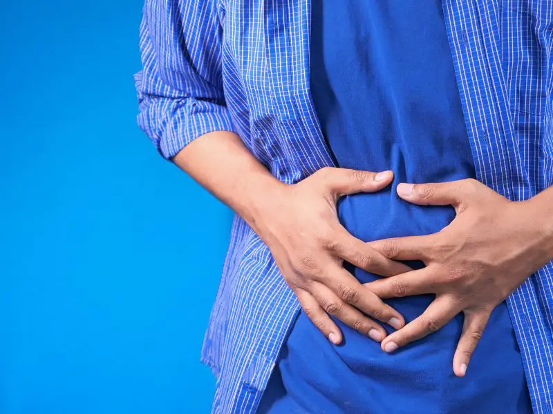 digestion meilleurs-min