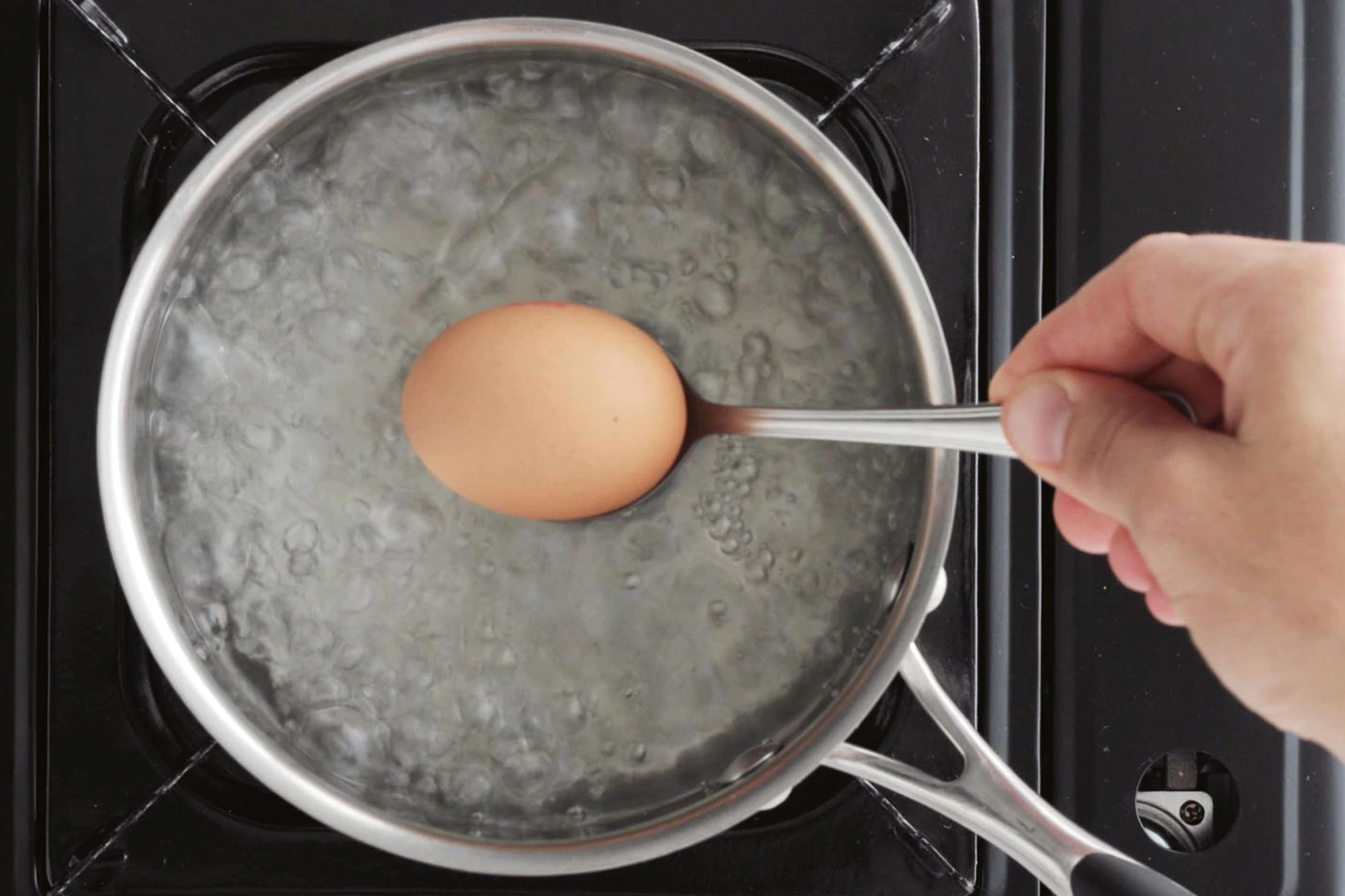 cuit oeuf